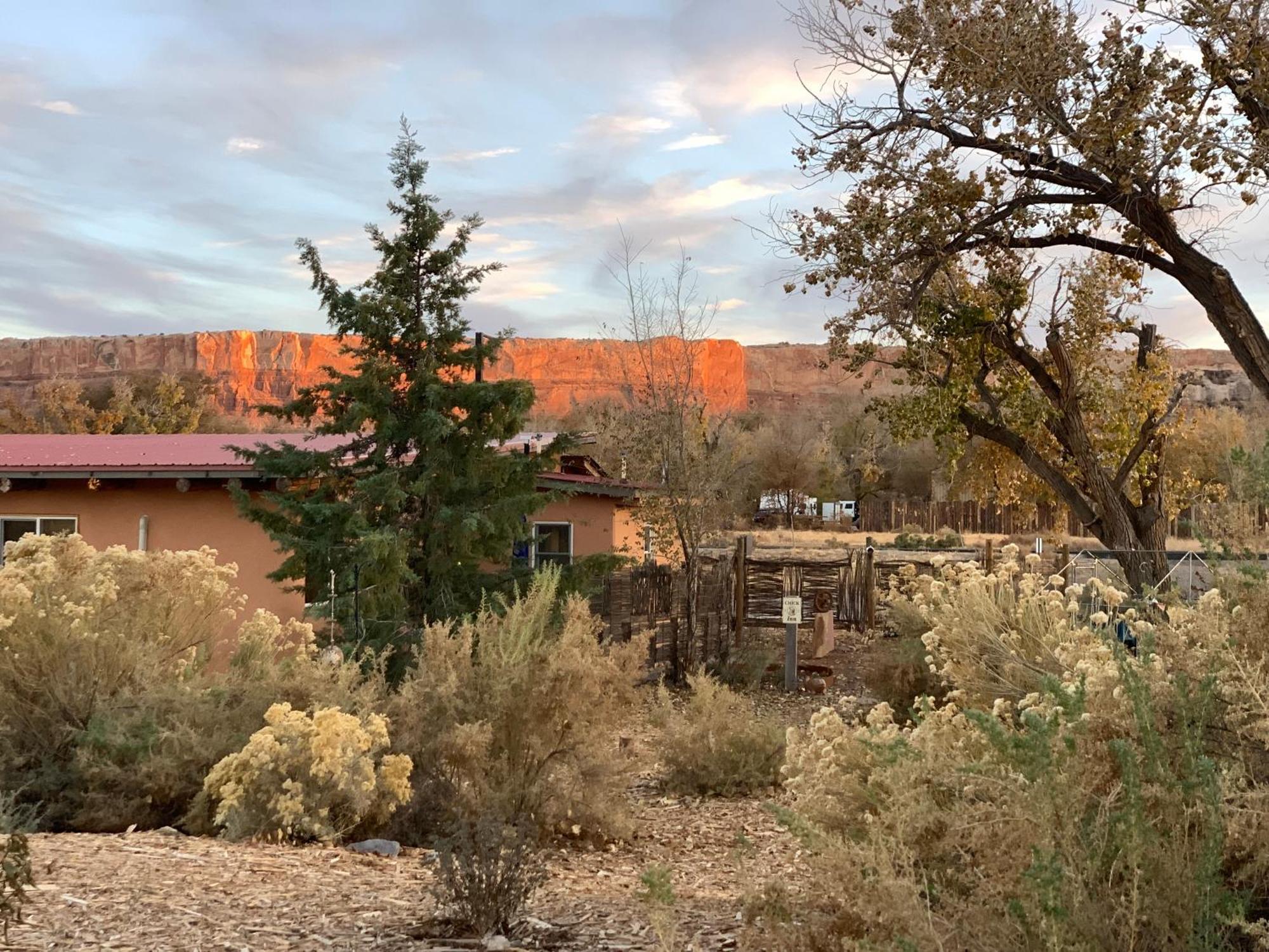 Willow Street Cottages Bluff Exterior foto
